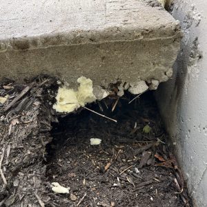 Overland Park kansas(4)
