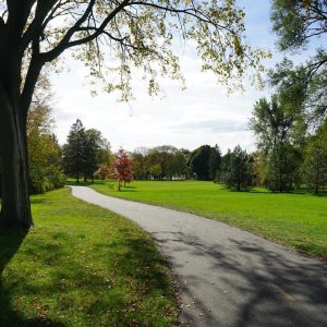 park